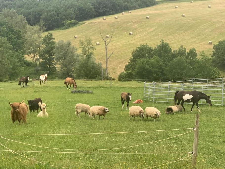 Gite A La Ferme Avec Jacuzzi Et Piscine Chauffee Saint-Felix-de-Tournegat Exterior foto